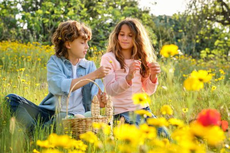 Téléchargez les photos : Frère donnant de la fleur à sœur alors qu'il était assis dans un champ herbeux près du panier en osier avec des œufs le jour ensoleillé - en image libre de droit