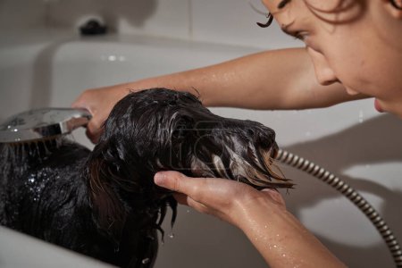 Foto de Vista lateral del niño de las cosechas lavando perro negro con manguera de ducha mientras está sentado en la bañera durante la rutina higiénica en el baño - Imagen libre de derechos