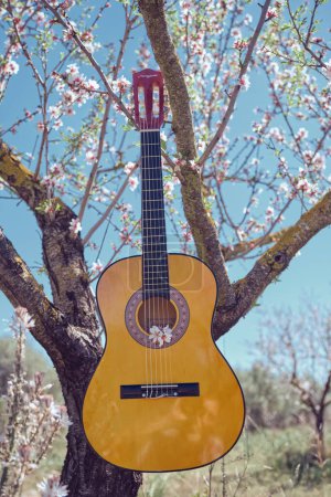 Téléchargez les photos : Guitare acoustique brune suspendue à un arbre avec des fleurs d'amande colorées en forêt lors d'une journée d'été ensoleillée contre le ciel bleu - en image libre de droit