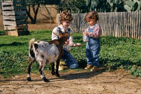 Foto de Cuerpo completo de adorables hermanitos en overoles de mezclilla alimentando a una linda cabra durante las vacaciones de verano en el campo - Imagen libre de derechos