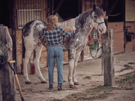 Photo for Full body back view of anonymous female rider putting pad on back of spotted horse while standing in stable - Royalty Free Image