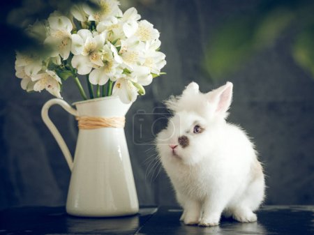 Téléchargez les photos : Adorable lapin blanc moelleux avec bouquet de fleurs d'Alstroemeria fraîches en pot en céramique sur fond flou - en image libre de droit