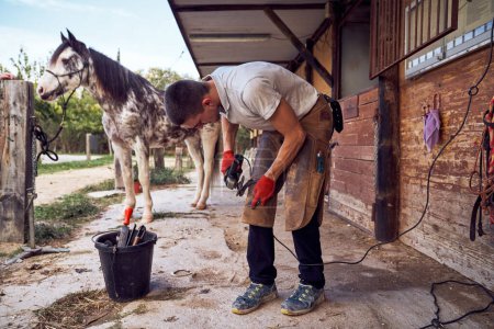 Foto de Herrero cambiando herradura a la pierna de un caballo usando alicates de martillo de cal calva - Imagen libre de derechos