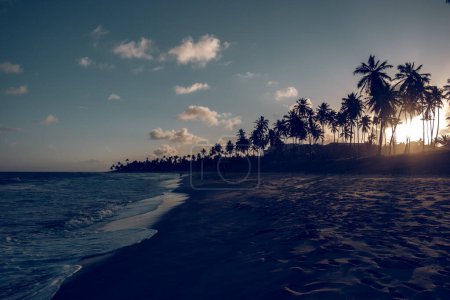 Foto de Vista panorámica del océano ondulado con costa arenosa con siluetas de palmeras bajo el cielo azul al atardecer en Brasil - Imagen libre de derechos