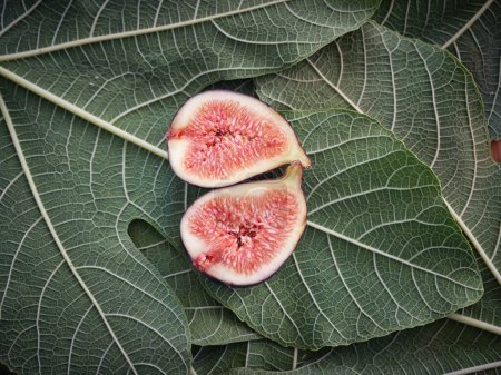 Top view of ripe mellow fig cut in halves placed on piled green leaves