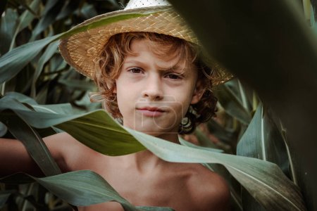 Foto de Niño sin camisa con el pelo rubio rizado con sombrero de paja de pie entre las hojas verdes largas de las plantas de maíz en el campo de verano y mirando a la cámara - Imagen libre de derechos