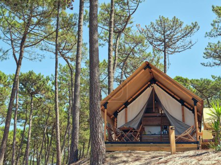 Photo for Exterior of cozy glamping hut with wooden furniture in it placed near tall pine trees in woods on sunny day - Royalty Free Image