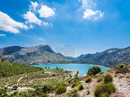 Téléchargez les photos : Rivage avec des arbres verts et des arbustes près d'un lac calme entouré d'une chaîne de montagnes rugueuse contre le ciel bleu dans la nature sauvage - en image libre de droit