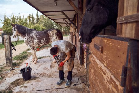 Téléchargez les photos : Garçon forgeron changeant le fer à cheval à la patte d'un cheval à l'aide d'une pince à marteau chauve - en image libre de droit