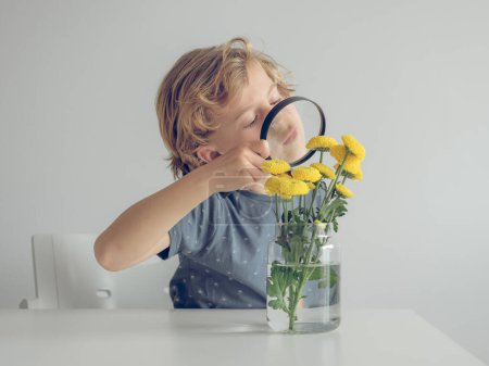 Foto de Niño curioso con cabello rubio examinando flores en jarrón de vidrio con lupa sobre fondo blanco - Imagen libre de derechos