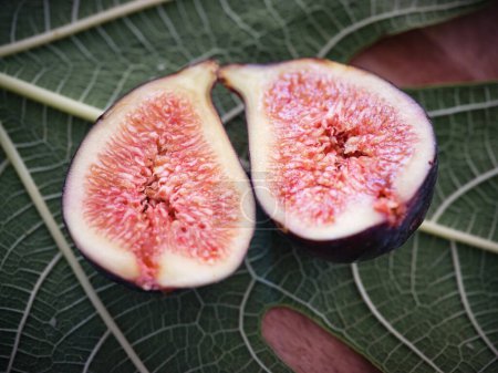 Photo for From above of ripe exotic fig fruit with cut in halves placed on green fig leaf - Royalty Free Image