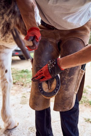 Téléchargez les photos : Farrier changeant de fer à cheval dans l'écurie - en image libre de droit
