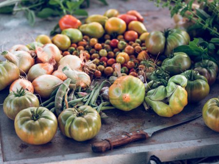 Photo for From above of many fresh domestic green and yellow tomatoes placed near onions and herbs on table with knife - Royalty Free Image