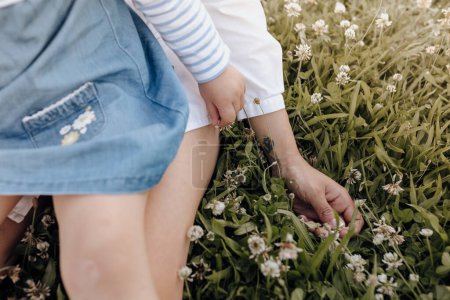 Photo for From above anonymous woman and girl sitting on green lawn with white flowers while spending time in park together - Royalty Free Image