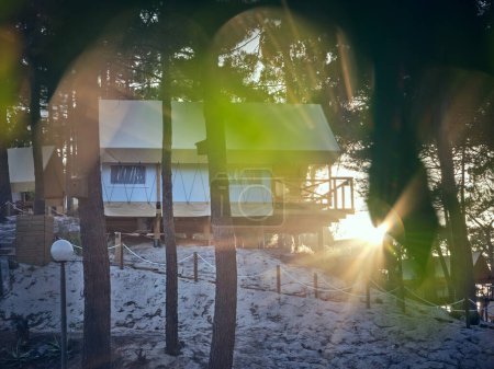 Téléchargez les photos : Chalet résidentiel avec terrasse situé à proximité de grands arbres dans la campagne couverte de givre blanc par temps ensoleillé avec rayon de soleil brillant - en image libre de droit