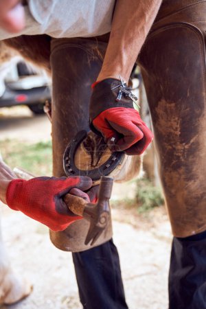 Téléchargez les photos : Farrier changeant de fer à cheval dans l'écurie - en image libre de droit