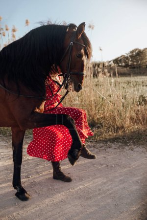 Foto de Dama irreconocible en vestido rojo manchado que lleva al caballo en camino cerca del prado - Imagen libre de derechos