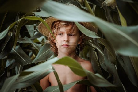 Téléchargez les photos : Petit enfant pensif aux cheveux blonds bouclés portant un chapeau de paille debout parmi de longues feuilles vertes de grandes plantes de maïs dans un champ d'été et regardant ailleurs - en image libre de droit