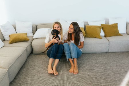 Photo for Cheerful female friends in casual wear caressing adorable black Dachshund in hands while while sitting on the floor leaning on the sofa in living room at home - Royalty Free Image