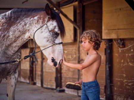 Téléchargez les photos : Enfant affectueux en jeans bleus debout à un vieux enclos en bois et touchant soigneusement la tête d'un cheval à taches - en image libre de droit