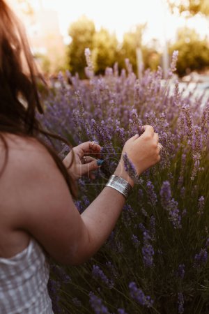 Téléchargez les photos : Culture femme aux cheveux longs méconnaissable touchant fleurs de lavande dans une prairie - en image libre de droit