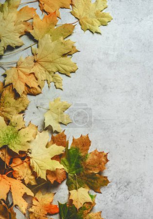 Foto de Fondo de otoño con hojas de arce de color amarillo y naranja, vista superior - Imagen libre de derechos