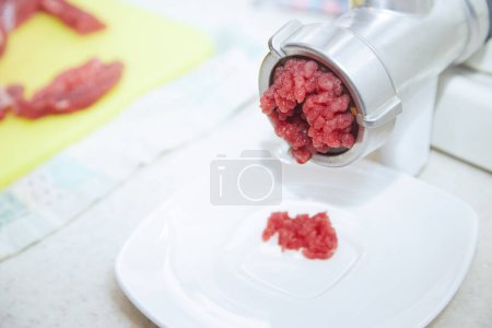 Mincing machine with forse meat. Close-up view