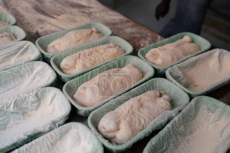 Photo for Detail shot of several bread doughs inside molds ready to be introduced into the oven of a bakery - Royalty Free Image