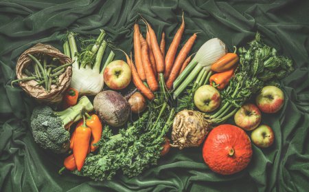 Photo for Various harvest vegetables from garden: green beans, pumpkin, apples, broccoli, carrots, kale, fennel, paprika. Top view - Royalty Free Image