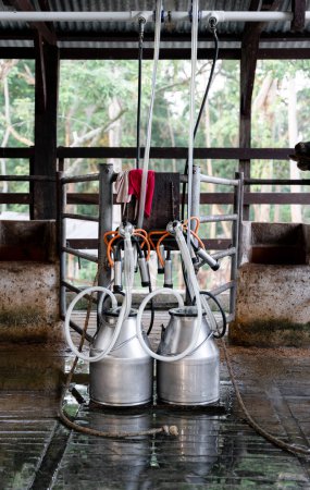 A ready-to-use milking machine stands prepared in a dairy farm, showcasing modern efficiency in milk extraction