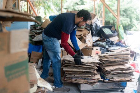 Téléchargez les photos : Jeune homme hispanique utilisant une grande échelle pour peser le carton dans une usine de recyclage, mettant en évidence les pratiques durables en action - en image libre de droit