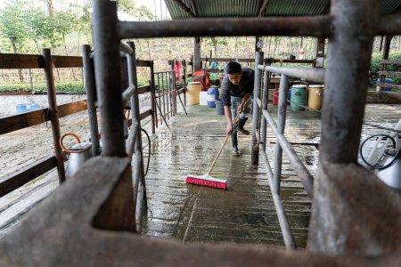 A young Hispanic man cleans the milking parlor floor at a dairy farm, ensuring a tidy and hygienic environment