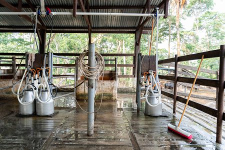 An empty milking parlor in a natural and serene dairy farm setting