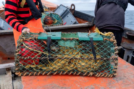 Netzcontainer zum Fischen von Hummern auf einem Boot neben Fischern