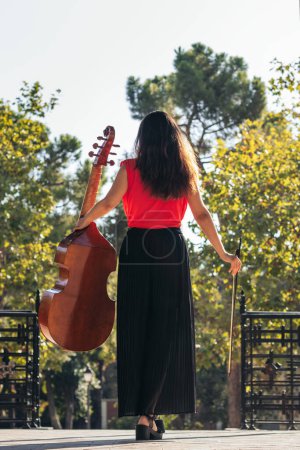 Téléchargez les photos : Vue arrière d'une musicienne debout, tenant son violoncelle, sur une scène dans les jardins d'un ancien palais européen. - en image libre de droit