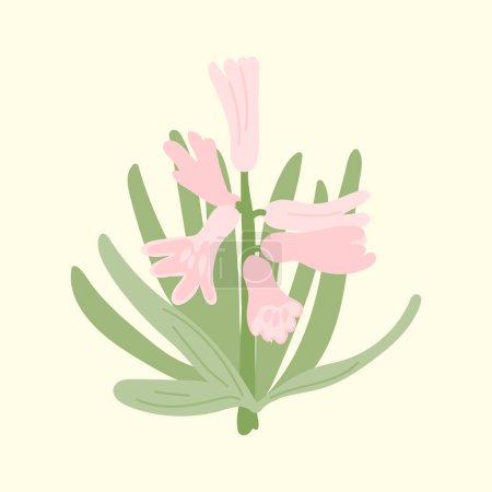 Vector spring pink flowers hyacinths. Botanical design in hand-drawn style. Decorative flowers for vintage designs.