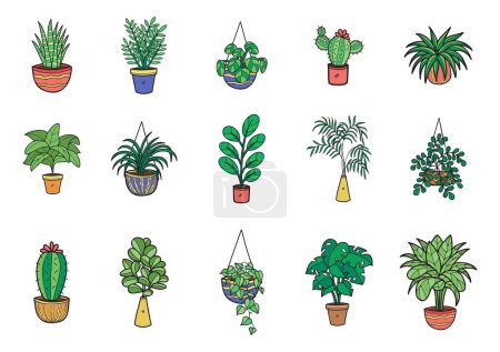 Téléchargez les illustrations : Vert organique éléments plantes d'intérieur collection - en licence libre de droit