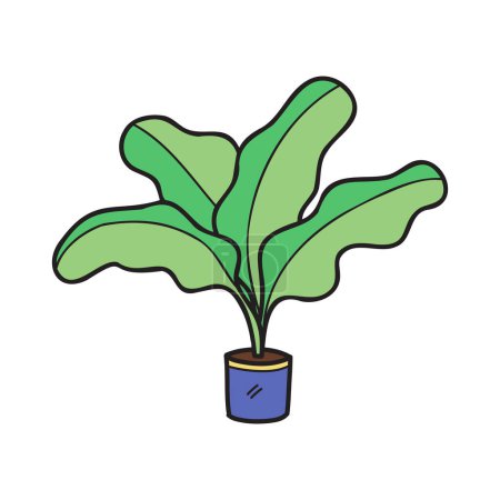 Téléchargez les illustrations : Isoler l'élément plantes d'intérieur biologiques - en licence libre de droit