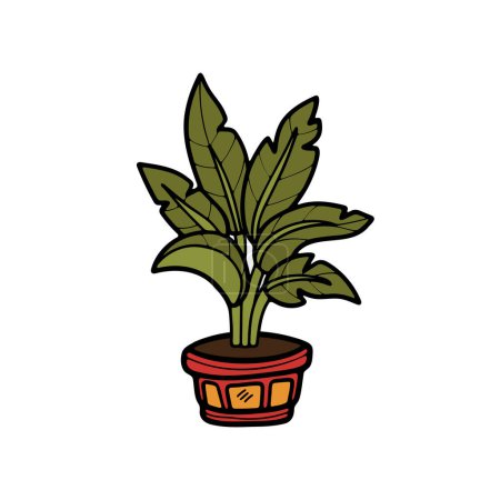 Téléchargez les illustrations : Isoler les plantes d'intérieur sur le fond - en licence libre de droit