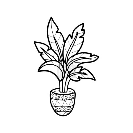 Téléchargez les illustrations : Isolate black and white houseplants on background - en licence libre de droit