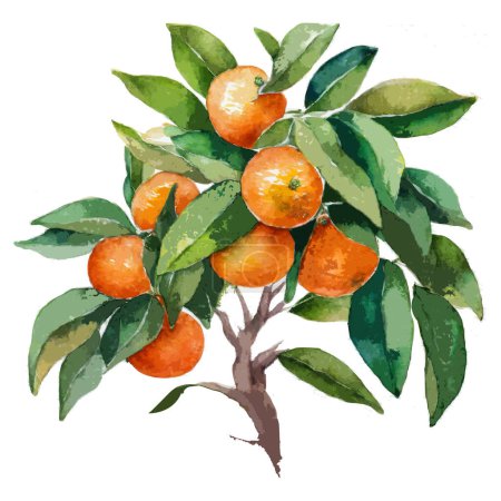 Ilustración de Acuarela primer plano del árbol de mandarina con mandarinas ai - Imagen libre de derechos