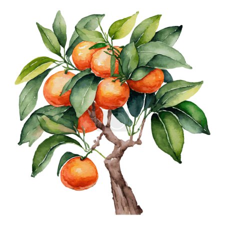 Ilustración de Acuarela primer plano del árbol de mandarina con mandarinas ai - Imagen libre de derechos