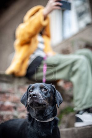 Téléchargez les photos : Influenceur, adolescente avec un chien noir prenant un selfie avec son smartphone, en plein air dans les rues de la ville - en image libre de droit