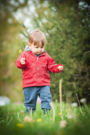 Téléchargez les photos : Mignon petit garçon, orné d'une veste rouge vif, découvre l'enchantement de la nature comme il berce affectueusement une fleur délicate - en image libre de droit