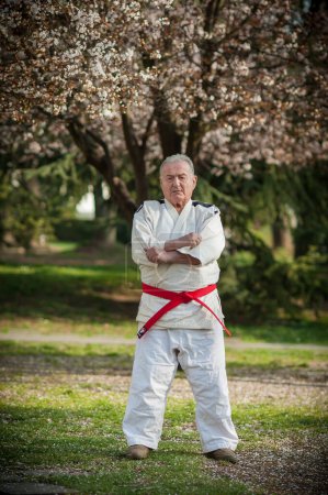 Ein Meister der Kampfkunst in einem traditionellen Gi-Kimono steht selbstbewusst in einem Park, die Arme verschränkt und strahlt Autorität und Kompetenz in Judo, Aikido, Jiu-Jitsu und Karate aus.