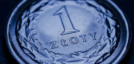 una moneda zloty polaca, moneda nacional de Polonia