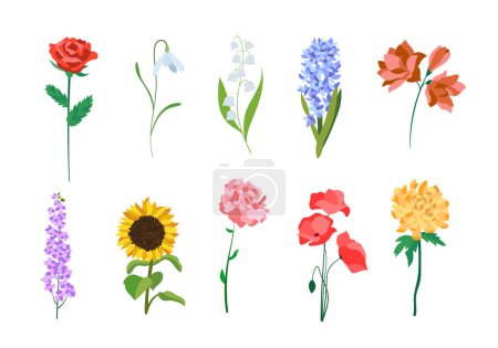 Illustration for Realistic colorful flat flowers. Perfect for illustrations and nature education. - Royalty Free Image