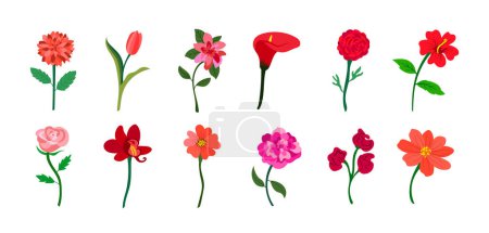 Ilustración de Conjunto de flores planas realistas coloridas. Colores rojo y rosa. Perfecto para ilustraciones y educación sobre la naturaleza. - Imagen libre de derechos