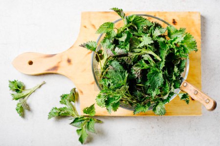 Photo for Young nettle leaves in a glass bowl in the kitchen. Stinging nettle leaves. - Royalty Free Image