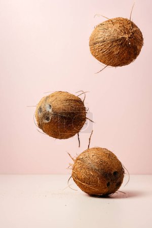 Three whole coconuts falling on a pink background.